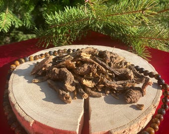 OSHA, Bärenwurzel, ligusticum porteri