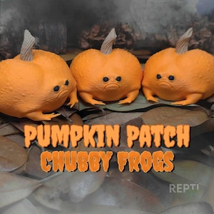 May include: Three orange pumpkin-shaped figurines with grumpy faces and stubby legs. The text "PUMPKIN PATCH CHUBBY FROGS" is displayed in orange letters. The figurines are on a bed of dried leaves.