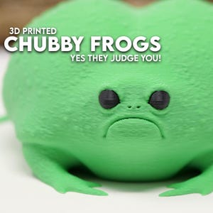 CUTE & CHUBBY Desert Rain Frog Figurines