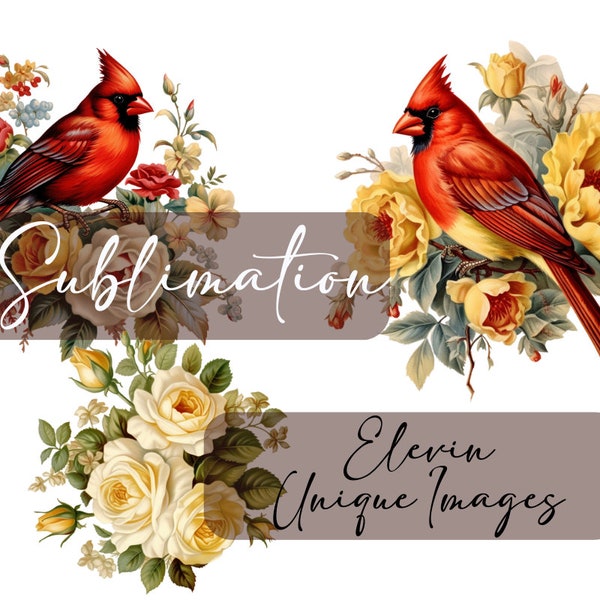 Red Cardinals and Yellow Roses PNG,  Cardinal PNG, Roses PNG, 11 Different Files, Transparent Backgrounds, High quality Images,