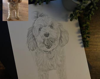 May include: Pencil drawing of a dog with a fluffy coat, tongue out, and a collar with a tag. A smaller photo of the dog is in the upper left corner. The drawing is on white paper, with a plant and pot in the background.