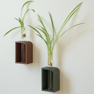 May include: Two wall-mounted planters with clear glass tubes holding green plants. One planter is brown, the other is dark green. The planters have a rectangular shape with a curved top edge, mounted on a white wall.