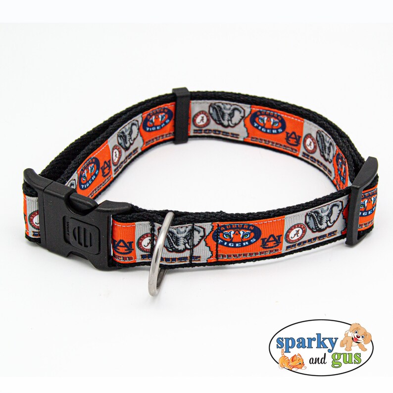 house divided dog collar