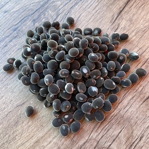 May include: A collection of dark, oval seeds with a velvety texture. The seeds are grouped together on a wooden surface, creating a natural aesthetic. The seeds are a deep, muted black colour.