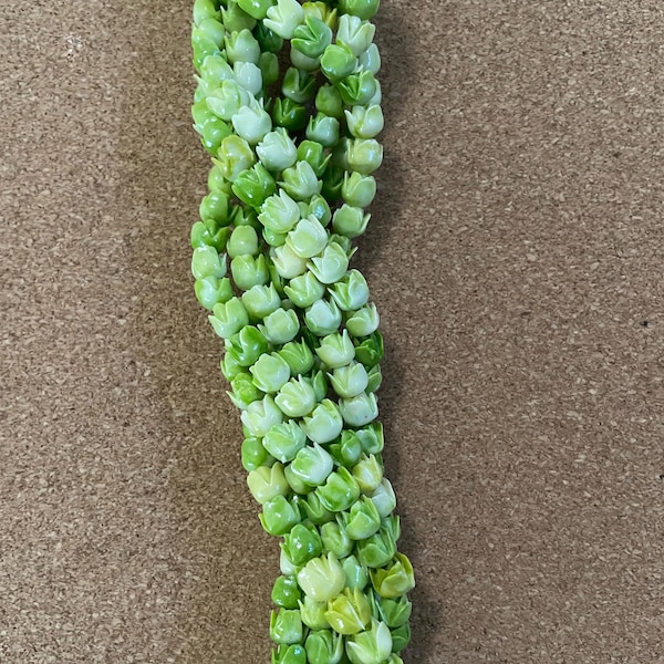 20pcs of 7x6.8mm Variegated Light Green/white Hawaiian Pakalana Flower Beads