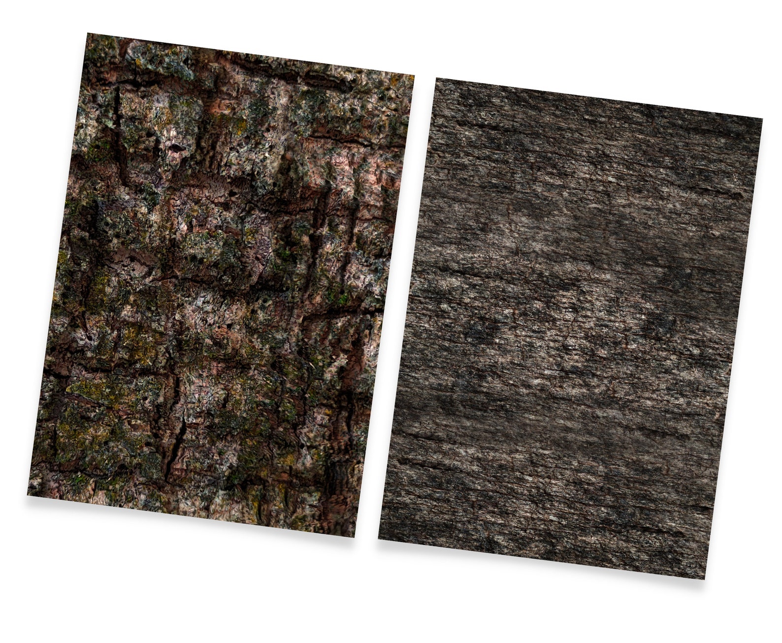 Tree Bark Backgrounds Digital Paper Pack - Etsy