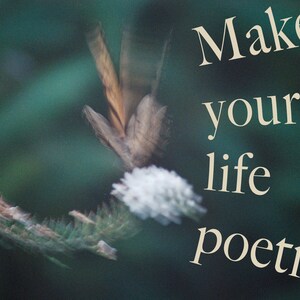 Make Your Life Poetry | Personalized poetry | poem | custom poetry | custom art | personalized | writing