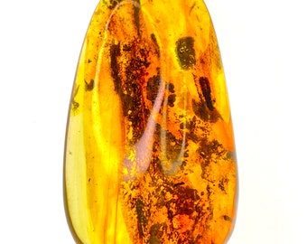 Living on the Edge... 100% Natural Baltic Cognac Insect Inclusion Amber Stone for Jewellery Making, DIY Jewellery, Jewellery Supply