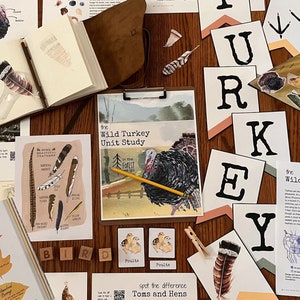 Wild Turkey Unit Study | Nature Study, Morning Basket, Fall, Thanksgiving, Montessori, Charlotte Mason, Printable, Classroom Decor