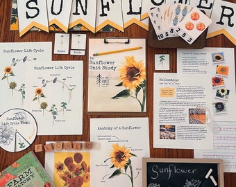 Sunflower Unit Study | Printables, Learning Materials, Morning Basket, Nature Study, Charlotte Mason, Montessori, Classroom Decor