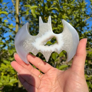 Stunning Druzy Agate and Quartz Crystal Bat with Crystal Portal | Witchy Bat Crystal Carving with Druzy | Balance | Focus |