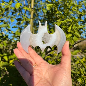 Witchy Druzy Agate and Quartz Bat Crystal | Gorgeous Bat Crystal Carving | Balance | Focus | Clarity