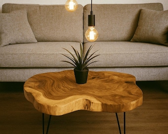 Puede incluir: Una mesa de centro de madera de borde vivo con un patrón de veta natural y bordes redondeados irregulares, sostenida por tres patas delgadas de metal negro tipo horquilla. Una pequeña maceta negra con una planta verde puntiaguda está en el centro.