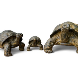 May include: Three tortoise figurines, made of a dark brown material, are arranged in a line from largest to smallest. The tortoises are facing forward with their heads raised.