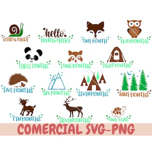 Jalons Svg, Bébé Jalons Svg, Bébé Mois Svg, Milestone Rounds svg, Nouveau-né Svg, Infant Milestones Svg, Woodland Milestones, ours