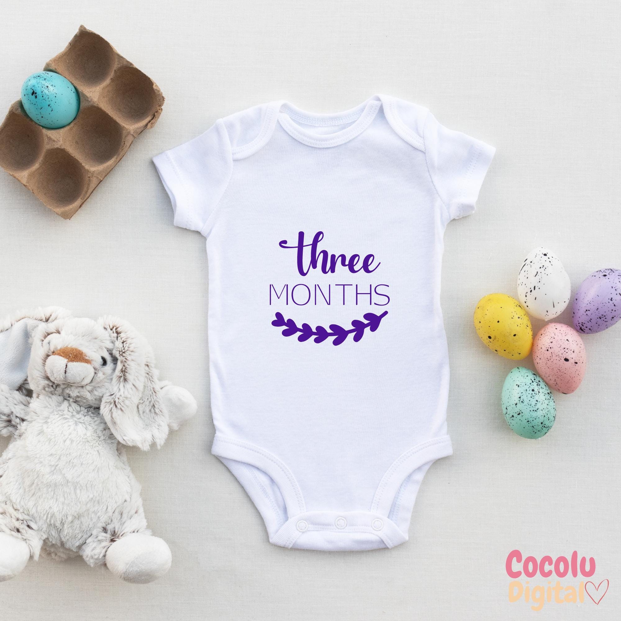 Milestone Months Svg, 12 Month Onesie SVG Designs, Baby Monthly Designs ...