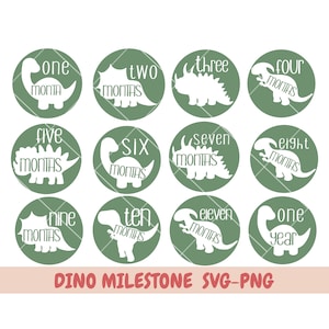Dinosaurier Meilensteine svg, Dinosaur Monthly Baby, Baby svg und geschnittene Dateien für Handwerker, Dinosaur Theme Baby Monthly, Neugeborenen Zeichen svg, svg