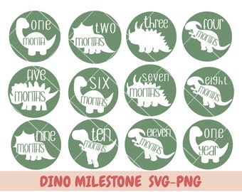 Dinosaur milestones  svg, Dinosaur Monthly Baby, Baby svg and Cut Files for Crafters, Dinosaur Theme Baby Monthly, Newborn sign svg, svg
