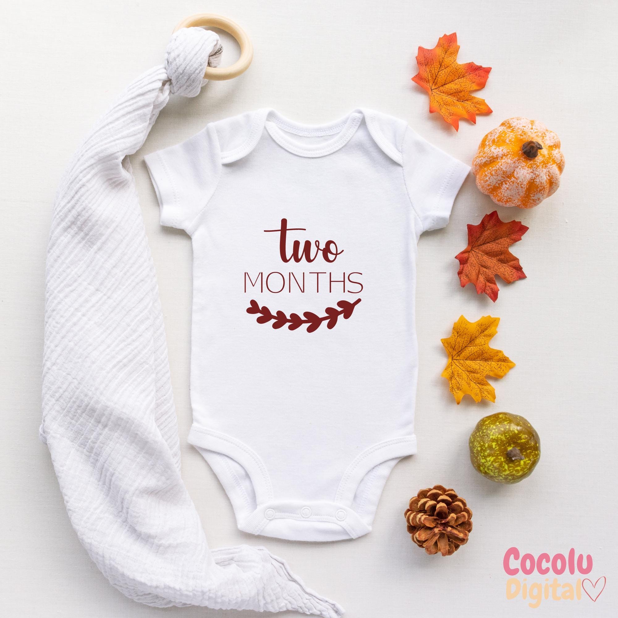 Milestone Months Svg, 12 Month Onesie SVG Designs, Baby Monthly Designs ...
