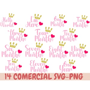 Bébé jalon Bundle SVG bébé annonce mensuelle, nouveau-né Bonjour monde bébé fille, Svg nouveau-né, tout-petit Svg dessins, bébé jalons Svg