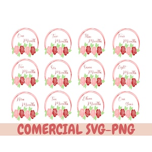 Mijlpaal maanden svg, 12 Maanden Onesie SVG Designs, Baby Monthly Designs, Baby Milestones Svg, Monthly Milestones Svg, Newborn Svg, maanden
