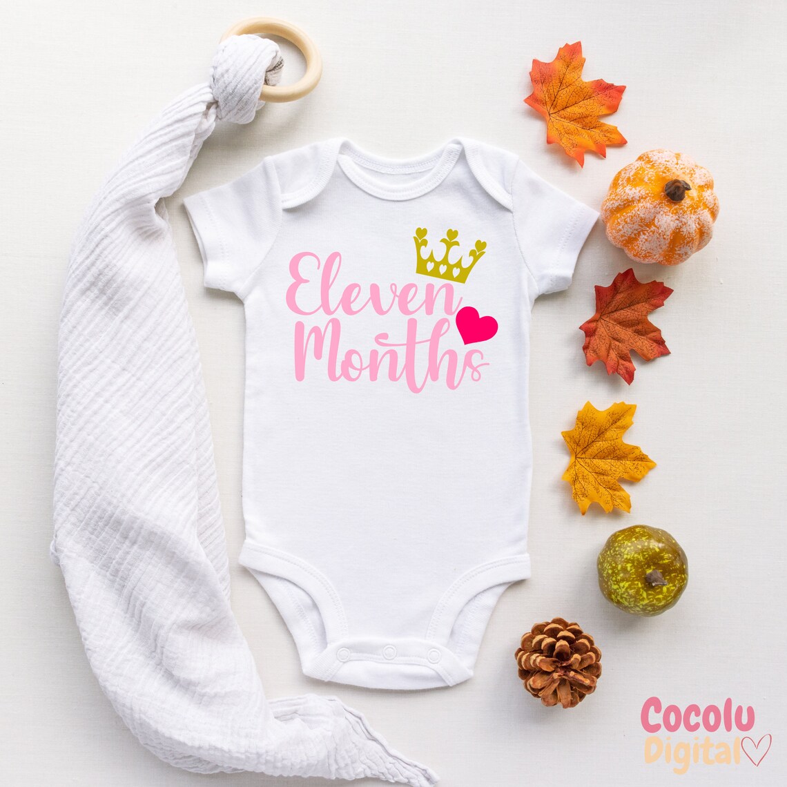 Baby Milestone Bundle SVG Baby Monthly Announcement, Newborn Hello ...