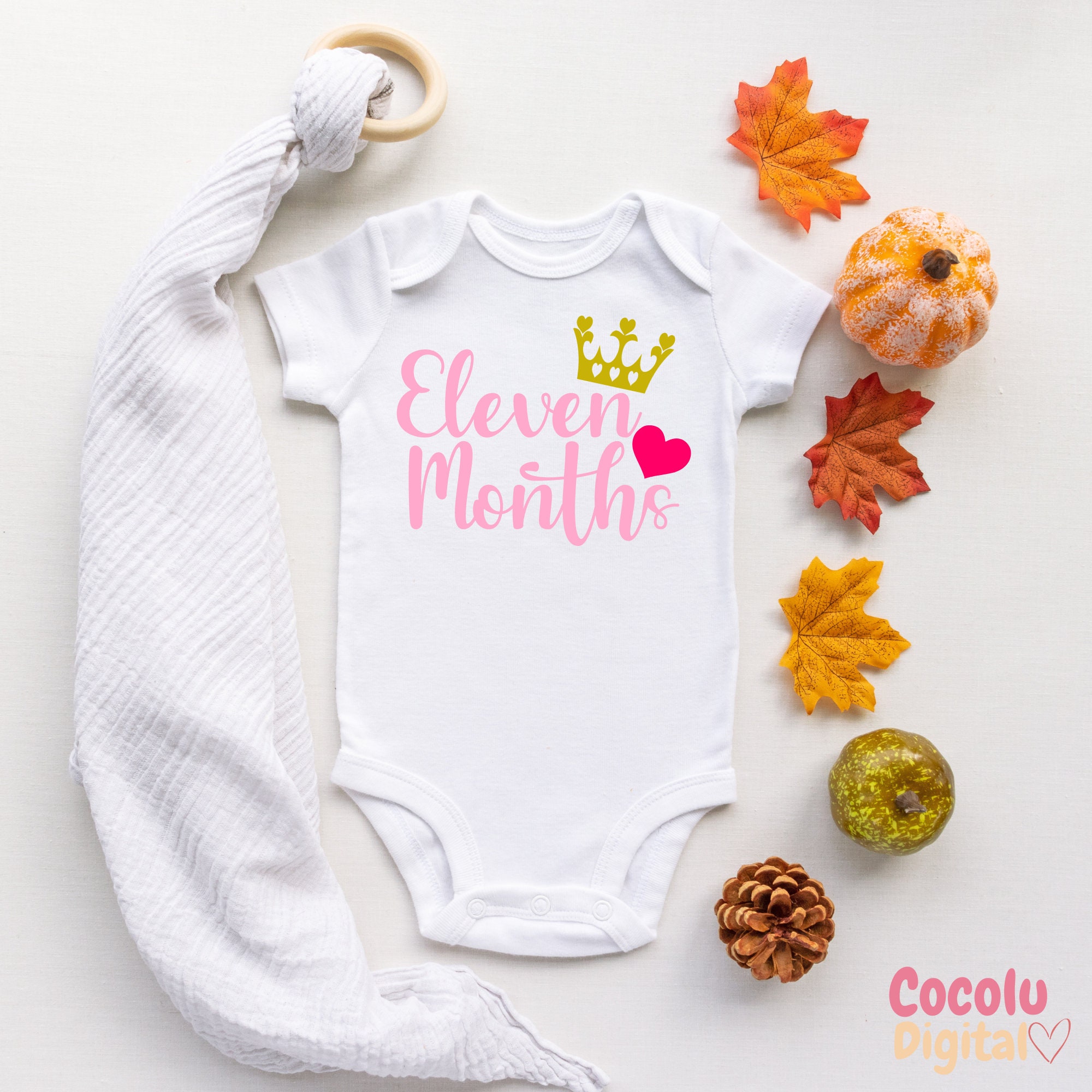 Baby Milestone Bundle SVG Baby Monthly Announcement, Newborn Hello ...