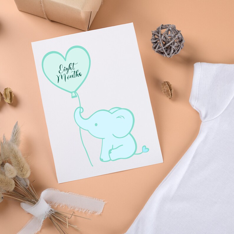 Elephant Svg Monthly Milestone Svg Milestone Discs Svg Baby - Etsy