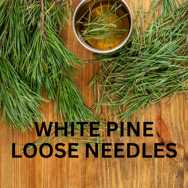 Best Canadian Eastern WHITE PINE Canadian Loose Pine Needles Suramin Organic