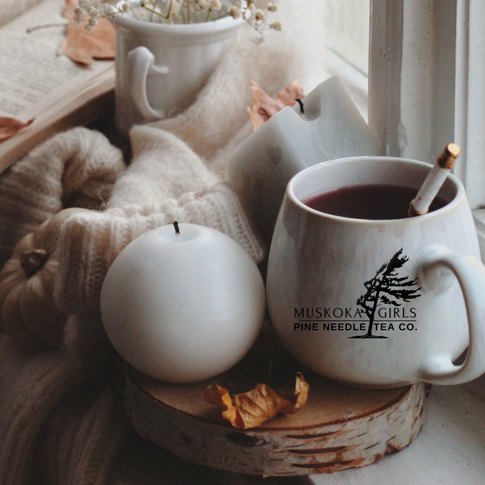 Wild Canadian Eastern White Pine & Cranberry Winter Tea bags (10 Tea