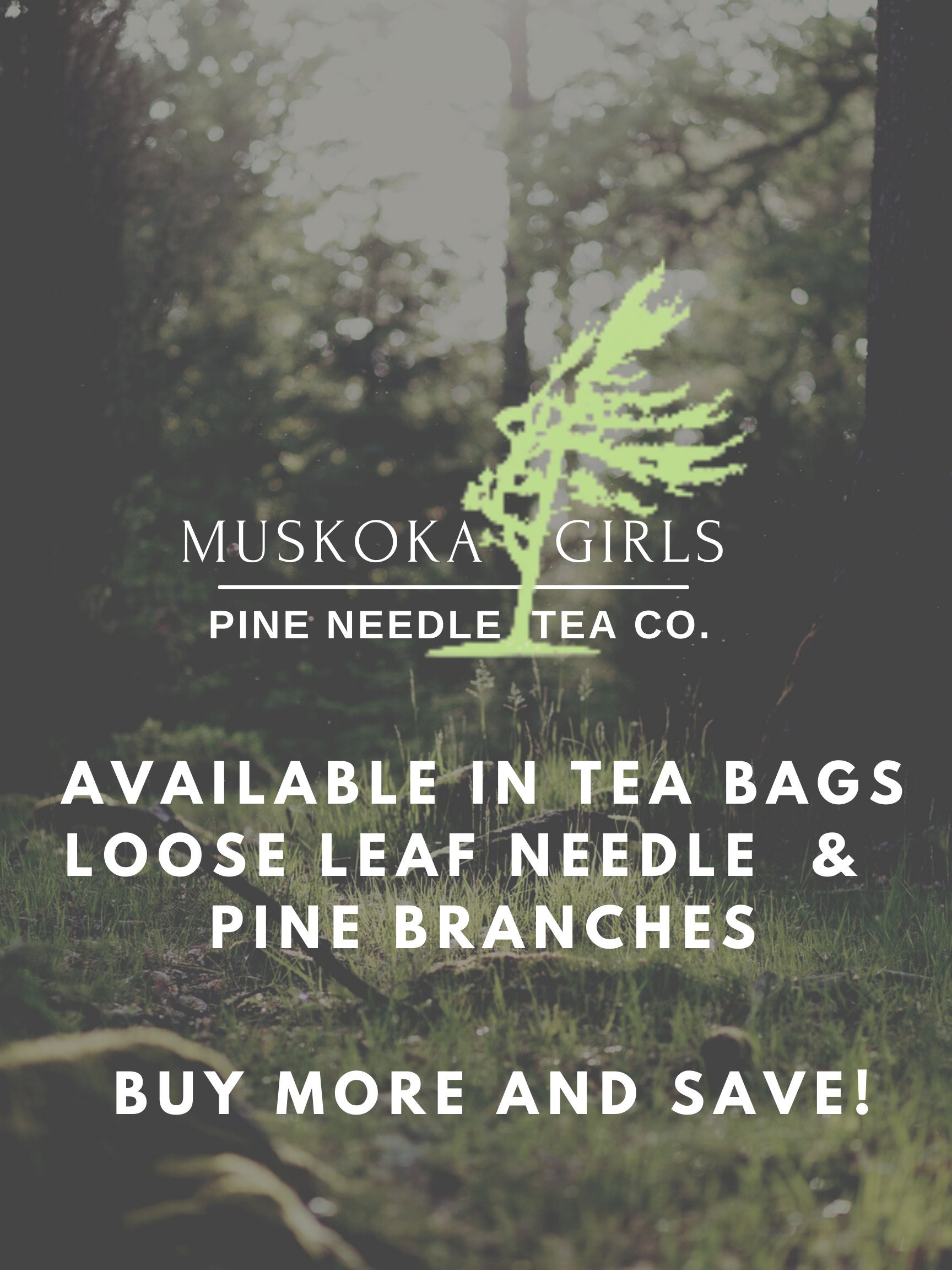 Shop — Muskoka Girls White Pine Teas