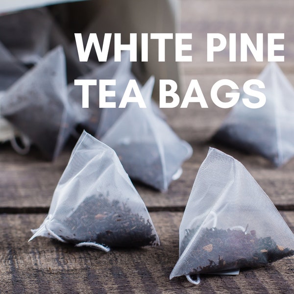 Best Canadian WHITE PINE Needle TEA bags, Wild Eastern Canadian White Pine Natural Wild Suramin Organic