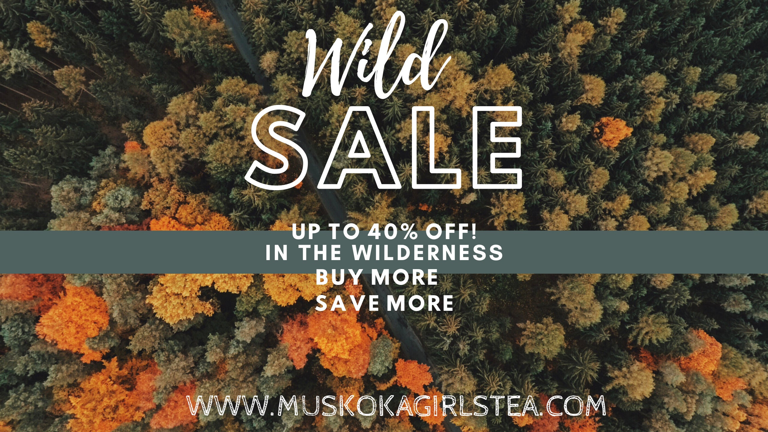 Wild Canadian Eastern White Pine Needle TEA bags BEST BUY Suramin