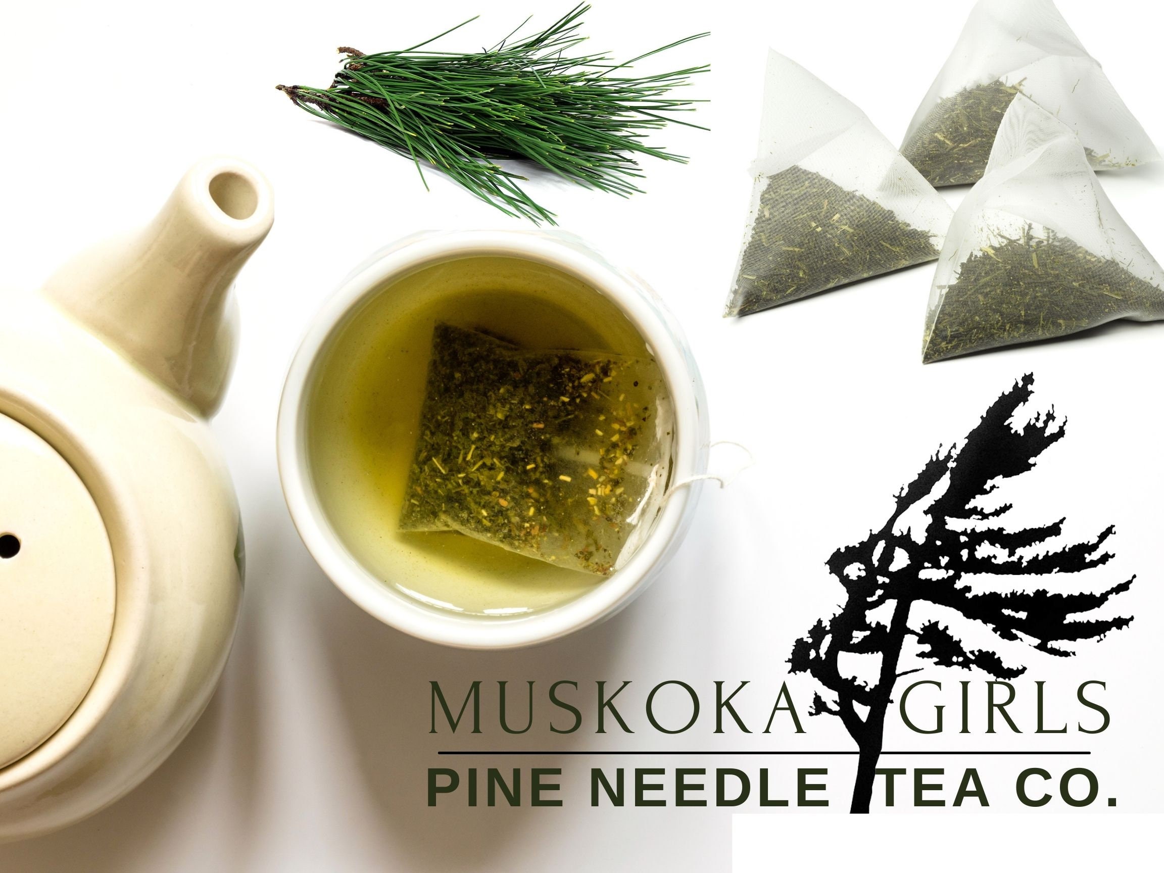 Wild Canadian Eastern White Pine Needle TEA bags BEST BUY Suramin — Muskoka Girls White Pine Teas