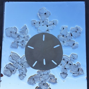 May include: A framed artwork featuring a sand dollar surrounded by clear glass pieces, resembling a snowflake. The background is a blue sky with a reflection of trees and a house.