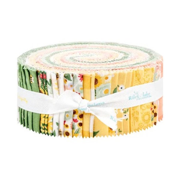 Free Gift W/Homemade 2.5" Jelly Roll {Rolie Polie} 40pcs Echo Park for Riley Blake Designs