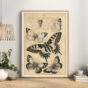 Vintage Butterflies Chart Poster, Art Deco, Vintage Print, Colorful Wall Art, Large Wall Art Print, Decor, Retro Butterfly Poster