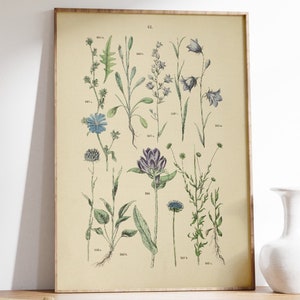 Vintage Blumen Poster, Vintage Blumen Wandkunst, Blumenkunst, Botanisches Wandbild, Große Wandkunst, Alte Deutsche Buchseite, Vintage Blumen Wandbild
