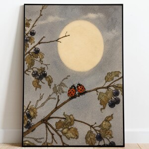 May include: Framed art print showing a watercolour illustration of a full moon in a cloudy sky. Two red ladybirds with black spots sit on a branch with leaves and dark berries. The artwork is in a black frame.