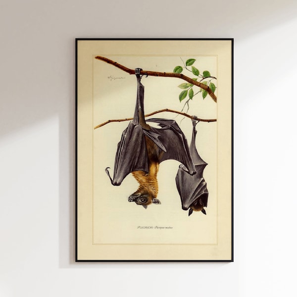 Vintage bat Poster, Bat illustration, Bat Print, Large Bat Wall Art, Colorful Wall Art, Large Wall Art Print, Decor, Retro Poster