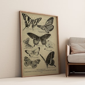 Vintage Butterflies Chart Poster, Art Deco, Vintage Print, Colorful Wall Art, Large Wall Art Print, Decor, Retro Butterfly Poster