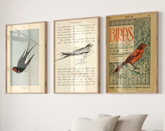 Vintage Schwalbe Poster 3er Set, Vogel Illustration Kunstdruck