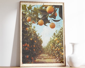Vintage Florida Orange Grove Poster, Florida's Golden Fruit Druck, alte botanische Buchwand, Orangen Zweig, große Wandkunst, Retro Poster