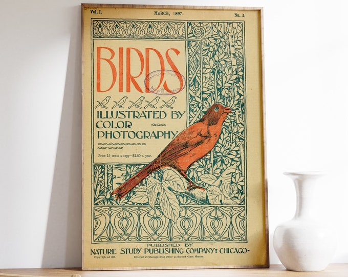 Vintage Art Nouveau Bird Print – 1897 Red Cardinal Illustration Poster