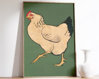 Vintage Chicken Illustration Print, Farmhouse Poultry Poster