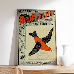 Impression de livre d'oiseaux vintage, affiche oiseaux, art mural hirondelle de couleurs douces, affiche oiseau, art mural animaux, décoration de chambre, impression de la nature, illustration