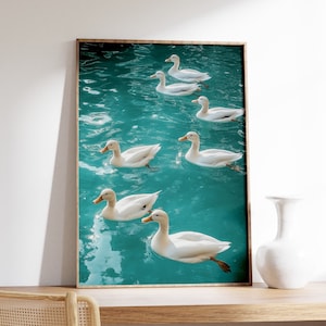 Cute Ducks Swimming in Crystal Water Poster, Duck Print, Funny Wall Art, Animal Print,  Large Wall Art, Home Decor, Illustration of Ducks
