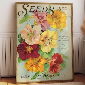 Vintage Samen Blumendruck, Postkarte Kalifornien Riesenkapuzinerkresse 1920 Poster, Blumenwandkunst, Retro Blumen, große Wandkunst, botanische Kunst