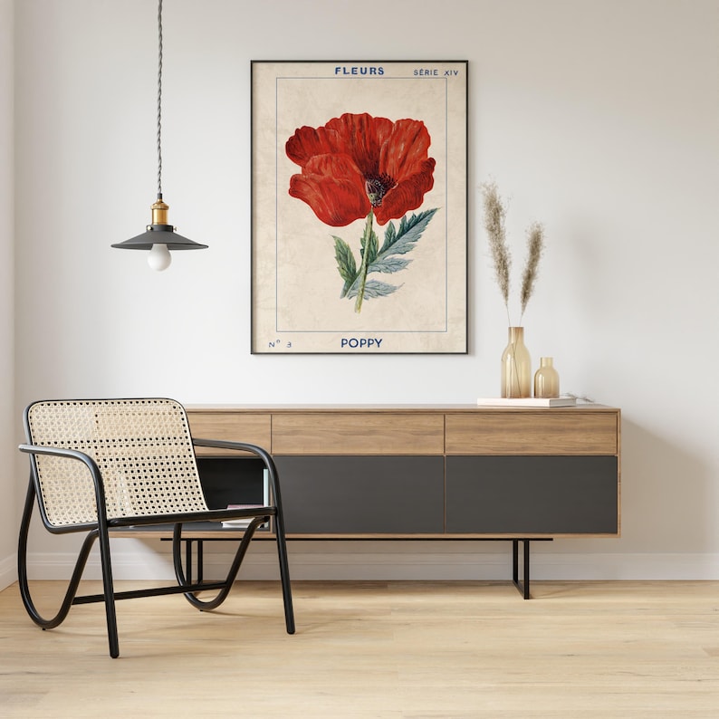May include: Vintage botanical illustration of a red poppy flower with green leaves and stems. The print is framed and titled "FLEURS SERIE XIV N&deg; 8 POPPY".
