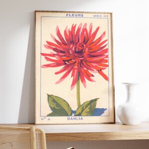 May include: Vintage botanical illustration of a red dahlia flower with green leaves. The print is framed and features the text "FLEURS SERIE XIV N&deg; 4 DAHLIA".